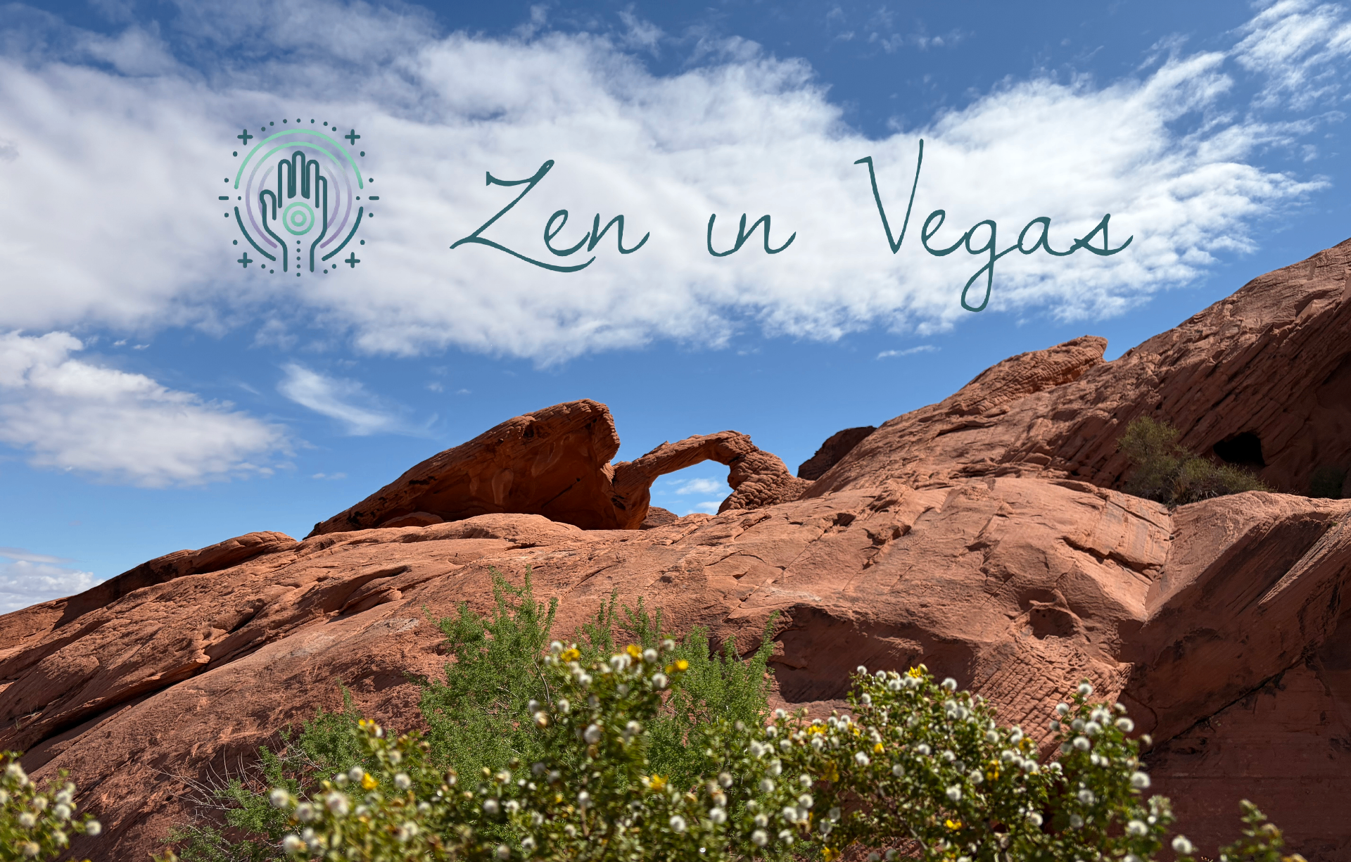 Zen in Vegas